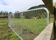 Прочные ворота загородки сетки звена цепи для животного приложения ранчо оленей
