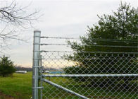 4 Ft x границы барьера задворк загородки сетки звена цепи 50 Ft ферма ткани стальной домашней зеленая